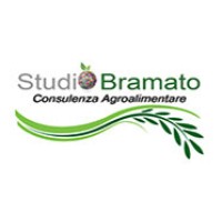 Studio Bramato logo - Similar company to Tziboo