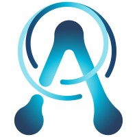 Arachnet LLC logo - Similar company to Process Maestro