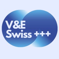 V&E Swiss +++ logo - Similar company to Unionswissbank