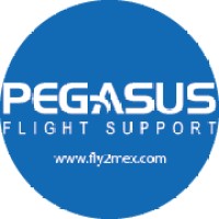 Pegasus Flight Support, Inc. logo - Similar company to Permit2Fly