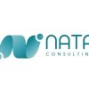 NATA Consulting logo - Similar company to Smart Industries