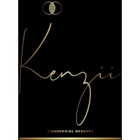 Kenzii Commercial Brokers logo - Similar company to Ux Doc