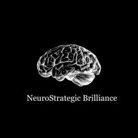 NeuroStrategic Brilliance logo - Similar company to Ome Web Services