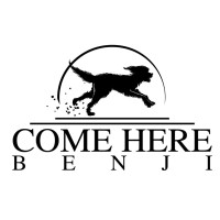 Come Here Benji Productions