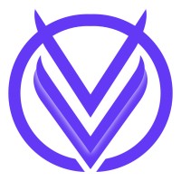 Vigilainte logo - Similar company to Interprobe Information Technologies