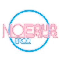 NOESYS PROD logo - Similar company to Noesysgroup