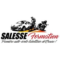 SALESSE Formation logo - Similar company to Gamecodeur - Video Game Online School