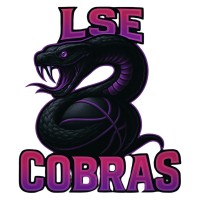 Lady Success Elite logo - Similar company to Dev Partners Llc