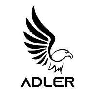 Adler International logo - Similar company to Mindkraftconsulting
