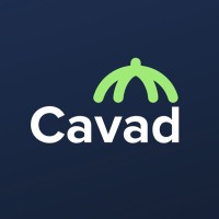 Cavad Risk Solutions logo - Similar company to Sa Glass Brokerage