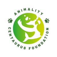 Fundacja Animality logo - Similar company to Visualsphere