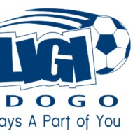 Ligi Ndogo logo - Similar company to Jami'S