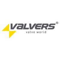 VALVERS logo - Similar company to Right Flag