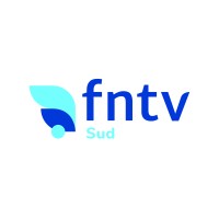 FNTV Sud logo - Similar company to Fntv