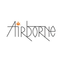 AIRBORNE TRAVELS|HOLIDAYS|MEETINGS|EVENTS logo - Similar company to Contrans Container Line Pvt Ltd.