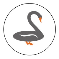 Cygnus Financial Planning logo - Similar company to Cygnus