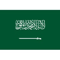 Saudi Arabia Economics Worldwide Leadership logo - Similar company to Alaws