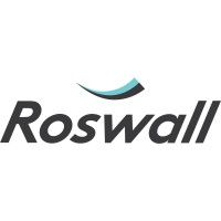 Roswall Development Inc logo - Similar company to Sole Proprietor