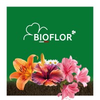Bioflor srl logo - Similar company to Saflax
