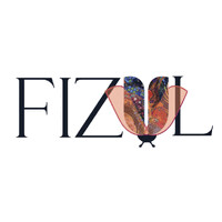 FIZUUL logo - Similar company to Seven Designer