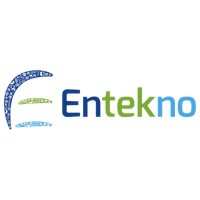 Entekno Global logo - Similar company to Mr Pipe Group