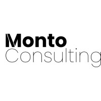 Monto Consulting logo - Similar company to Conaxia