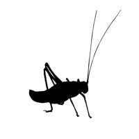 Hopper Design + Illustration logo - Similar company to Pace Engineering Gmbh