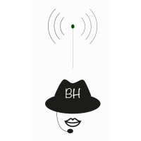 BlackHat Tech Solutions logo - Similar company to Blackhat Advisors