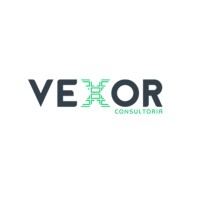 Vexor Consultoria logo - Similar company to Vexor Ab