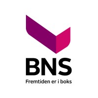 BNS Container as logo - Similar company to Containertech As