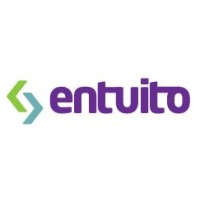 Entuito logo - Similar company to Ania Buchi