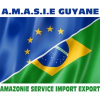 AMAZONIE SERVICE IMPORT-EXPORT logo - Similar company to Amazonie Immersive