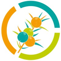 Junius Solutions logo - Similar company to Rawtech Group