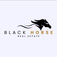 Black Horse logo - Similar company to Black Horse