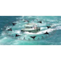 Compass Adjuster logo - Similar company to Azimuth Maritime