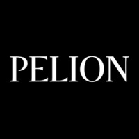 Pelion Intelligence logo - Similar company to Alpha Nova Capital