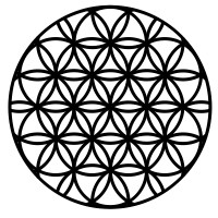 Alejandro Arce | Fractional CMO for the Health and Wellness Industry logo - Similar company to Learning 360 Academy