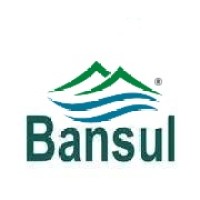Bansul logo - Similar company to Proinfo Energia