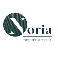 Noria Expertise & Conseil logo - Similar company to Voltanza