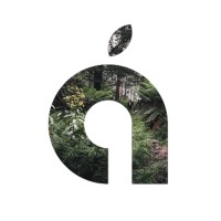 Apricot Acumen logo - Similar company to Qmv