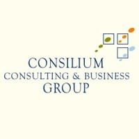 Consilium Consulting & Business Group logo - Similar company to Automax Group S.R.O.