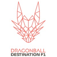 Dragonball Destination F1 logo - Similar company to Dragon Ball