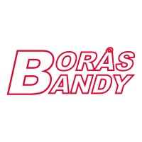 Borås Bandy logo - Similar company to Saik Bandy