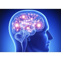 Schaeffer Biopharma Consulting, LLC