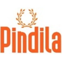 Pindila Consultancy Pvt. Ltd. logo - Similar company to Vbron Technologies Pvt. Ltd.