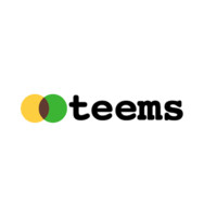 teems logo - Similar company to Computer Shop Sg