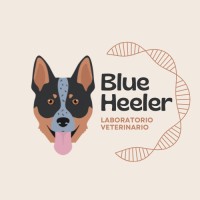 Blue Heeler logo - Similar company to Blue Heeler