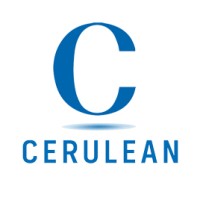 CERULEAN GLOBAL logo - Similar company to Blackbell
