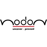 Nodon Consulting AG logo - Similar company to Iia Switzerland