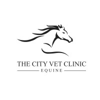The City Vet Equine Clinic logo - Similar company to Equine Veterinary Medical Center